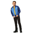 New Royal-Strong Blue - Pack Shot - Regatta Childrens-Kids Kielder Hybrid VII Padded Jacket