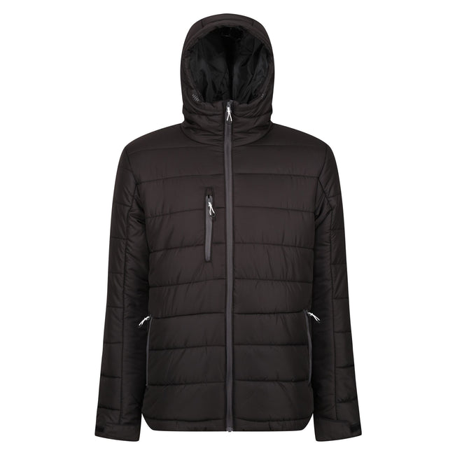 Black-Seal Grey - Front - Regatta Mens Navigate Thermal Padded Jacket