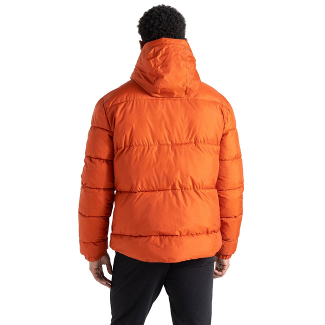 Rooibos Tea - Pack Shot - Dare 2B Mens Endless IV Padded Jacket