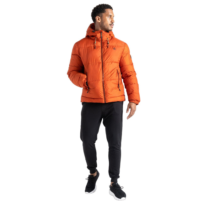 Rooibos Tea - Close up - Dare 2B Mens Endless IV Padded Jacket