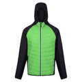 Jasmine Green-Ash - Front - Regatta Mens Andreson VIII Hybrid Jacket