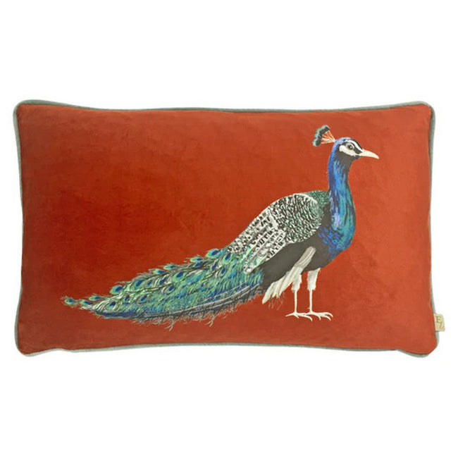 Sunset - Front - Evans Lichfield Peacock Throw Pillow Cover