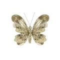 Champagne - Front - Davies Products Butterfly Christmas Decoration
