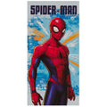 Light Blue-Red - Front - Spider-Man Logo Beach Towel
