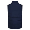 Peacoat-Diva Blue - Back - Umbro Mens 23 Williams Racing Vest