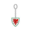 Front - Wales Crest Keychain