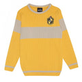 Front - Harry Potter Boys Quidditch Hufflepuff Knitted Sweater