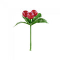 Front - Premier Frosted Berry Pick