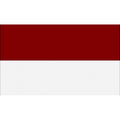 White-Maroon - Front - Carta Sport Corner Flag