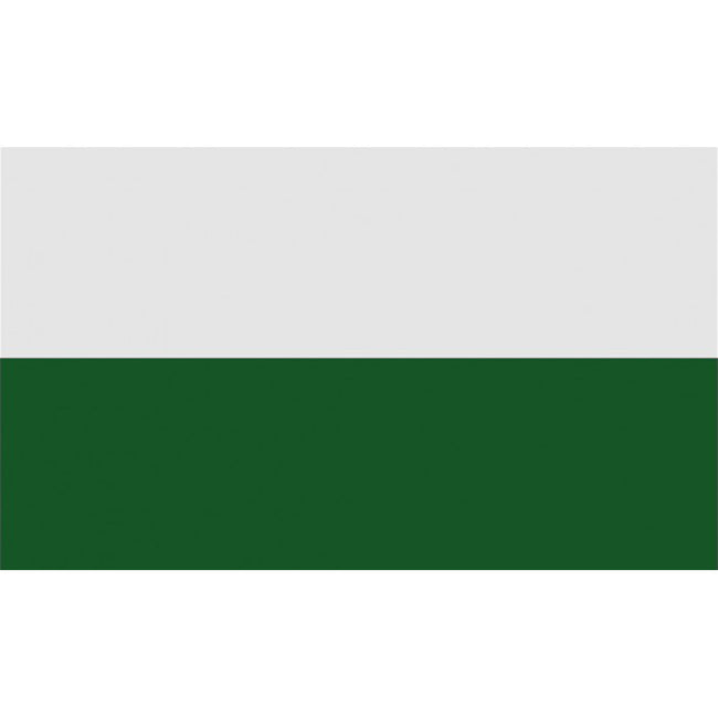 White-Green - Front - Carta Sport Corner Flag