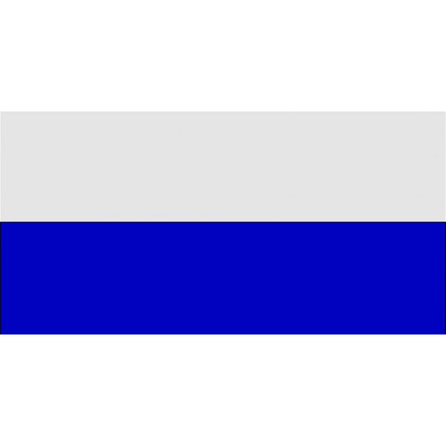 White-Royal Blue - Front - Carta Sport Corner Flag