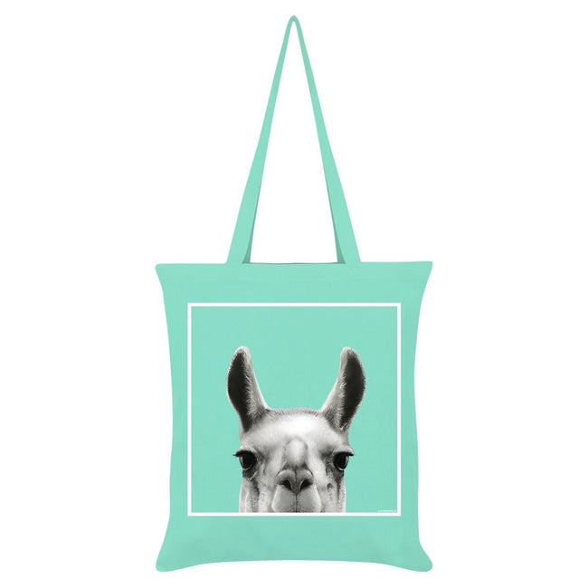 Mint - Front - Inquisitive Creatures Llama Tote Bag