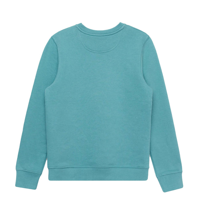 Teal - Back - Hype Childrens-Kids Butterfly Script Sweatshirt
