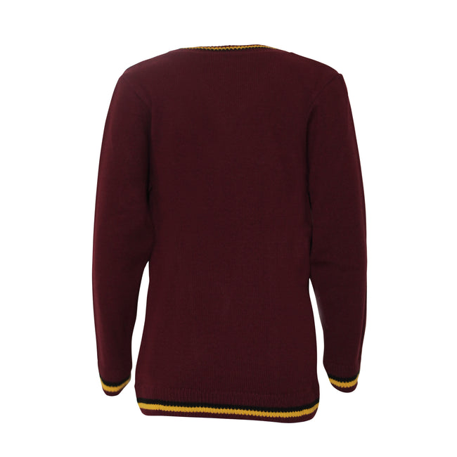 Burgundy - Back - Harry Potter Boys Gryffindor House Knitted Sweater