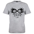 Gray Heather - Front - Harry Potter Mens Exceptionally Ordinary T-Shirt