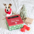Red-Green-White - Lifestyle - Something Different Santa Paws Christmas Gift Box