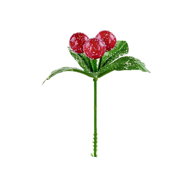 Red-Green - Front - Premier Frosted Berry Pick
