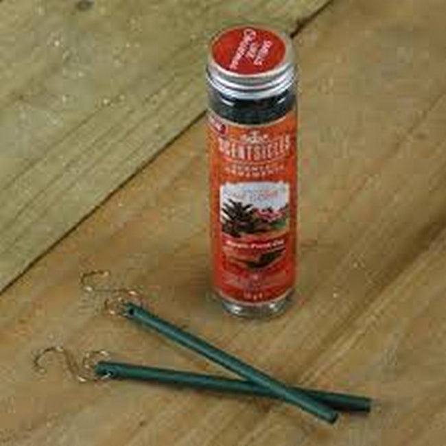 Spiced Pine Cones - Side - Premier Scent Sicles
